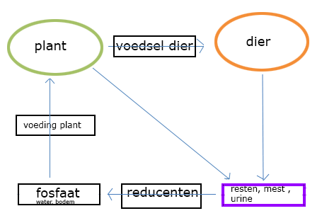 korte kringloop